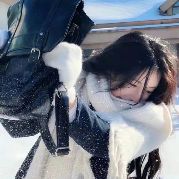 野鸭变凤凰